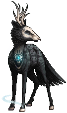 kin image