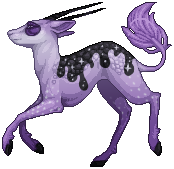kin image