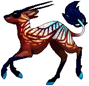 kin image