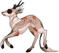 kin image