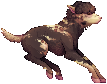 Rolls in Mud