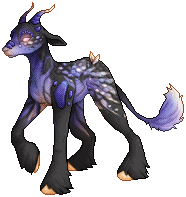 kin image