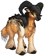 kin image