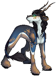 Salamander Eyes