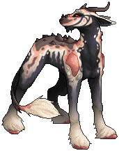 kin image